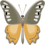 Butterfly 107