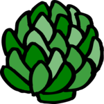 Artichoke 4