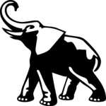 Elephant 07