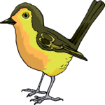 Bird 073