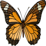 Butterfly 066