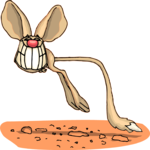 Jerboa Grinning