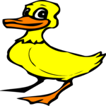 Duck 10