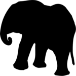 Elephant 2