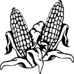 Corn 27