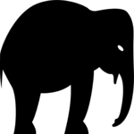 Elephant 6