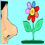 Smelling Flower 1 Clip Art