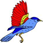 Bird 038