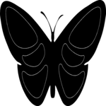 Butterfly 033