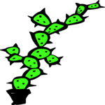 Cactus - Tall Offbeat