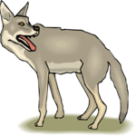 Coyote 6 Clip Art