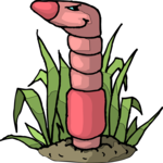 Worm - Sly