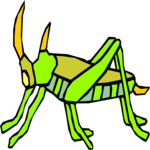 Bug 049