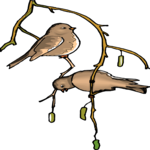 Swallows Clip Art