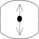 Vertical Synchronization