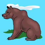 Bear 17