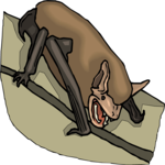 Bat 15 Clip Art