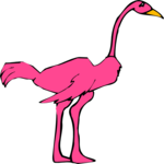 Flamingo 02