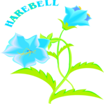 Harebell Clip Art