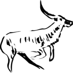 Antelope 05