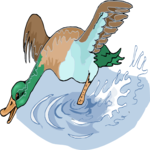 Duck 46 Clip Art