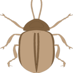 Crawling Insect 23 Clip Art