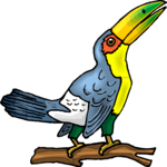 Toucan 07