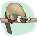 Lemur 3 Clip Art