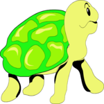 Turtle 09