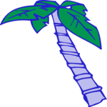 Palm Tree 26
