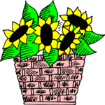 Flower Basket 2
