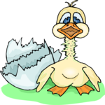 Duck Hatching 2 Clip Art