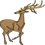 Deer 32