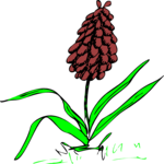 Plant 239 Clip Art