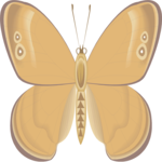 Butterfly 074