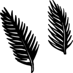 Palm Fronds 1 Clip Art