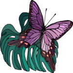Butterfly 137
