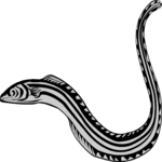Eel 1 Clip Art