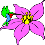 Flower with Hummingbird