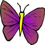 Butterfly 027