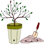Tree 225 Clip Art