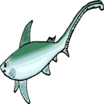 Shark - Thresher