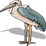 Marabou Stork 5 Clip Art