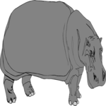 Hippo 01