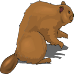 Beaver 12 Clip Art