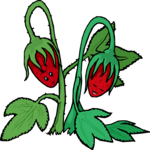 Strawberries 1 Clip Art