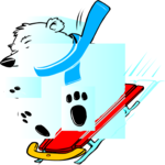 Polar Bear Sledding