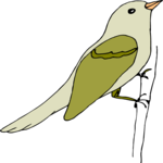 Bird Perched 16