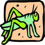 Grasshopper 1