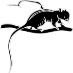 Shrew Clip Art